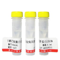 非哺乳動物蛋白抗體在非臨床診斷用生物試劑中的應(yīng)用與優(yōu)勢